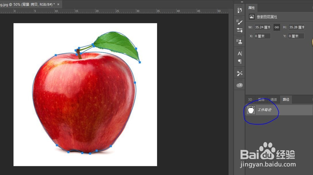 PS中钢笔工具怎么使用？