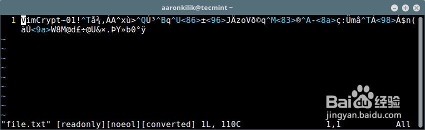 S：使用 Vim 给文件设置密码保护