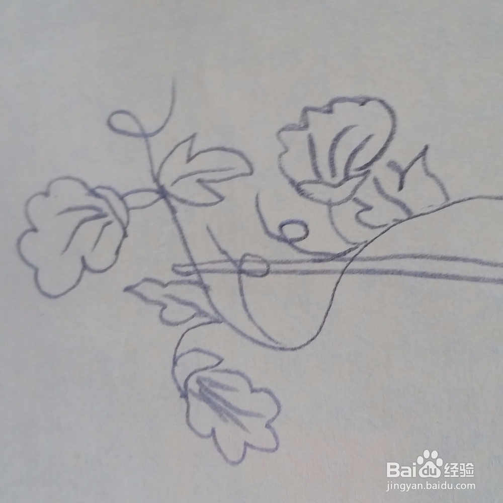 儿童简笔画牵牛花