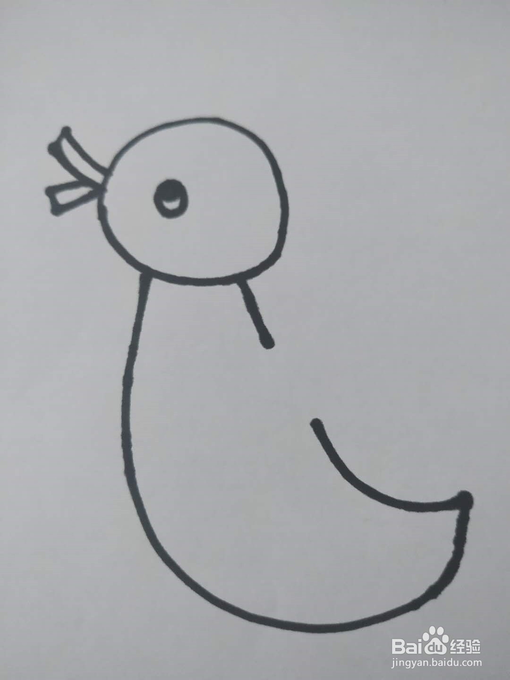 小鸭子的简笔画怎么画,怎么画小鸭子