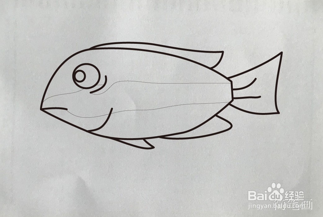 【简笔画】利鱼的画法