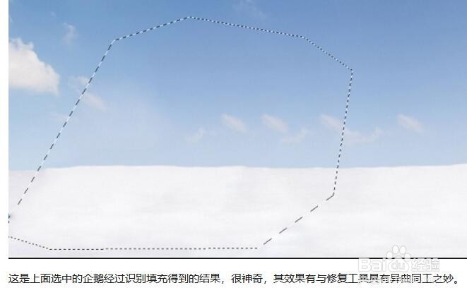 ps怎么填充自己想要的颜色