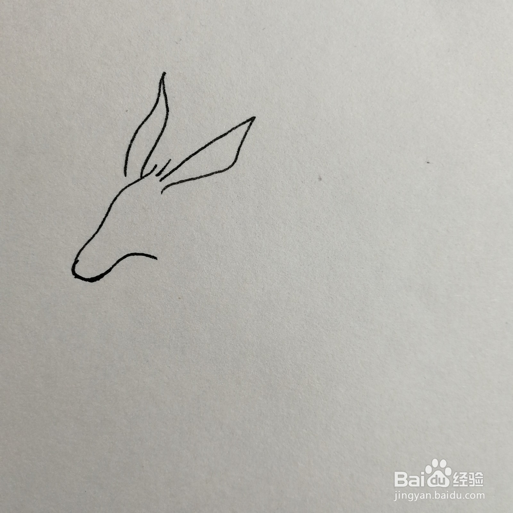 小毛驴儿童简笔画怎么画？