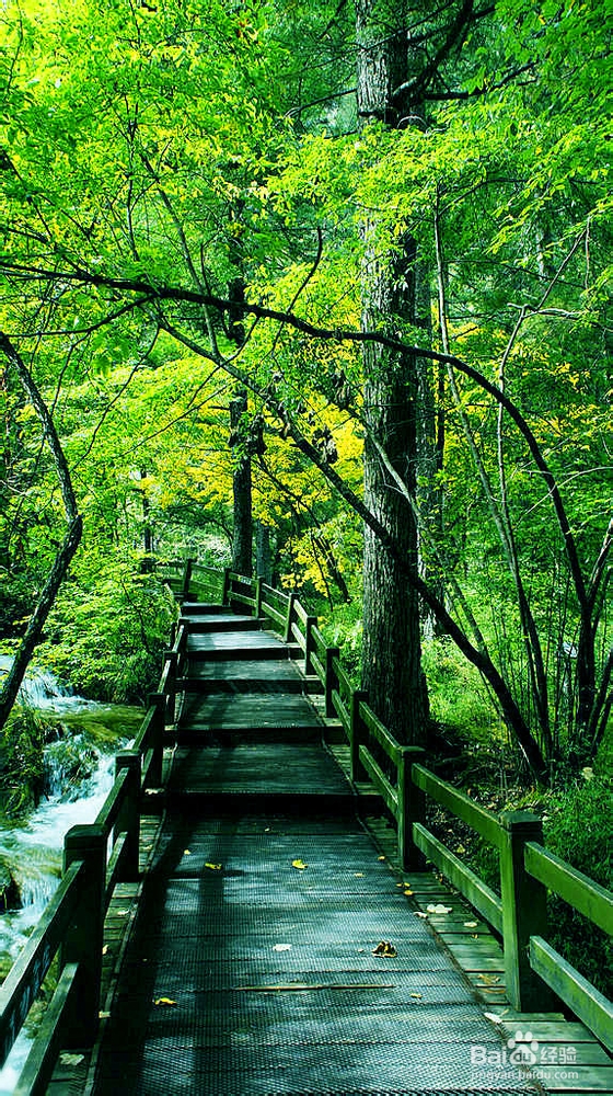 如何打发无聊的时间