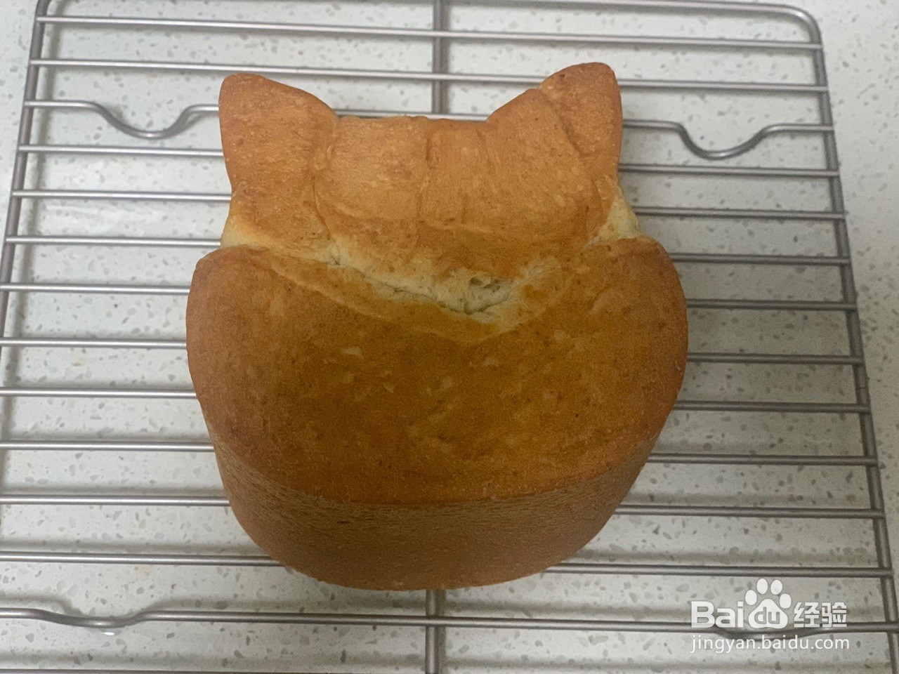 全麦猫咪吐司
