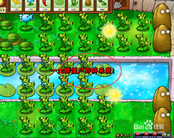 怎么在电脑玩植物大战僵尸