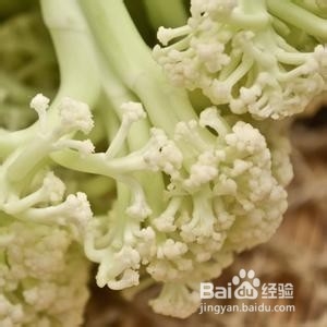 菜花的营养价值分析