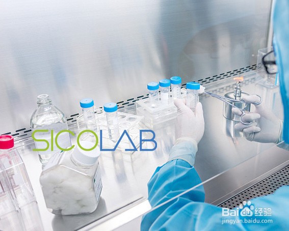 SICOLAB生物安全实验室设计