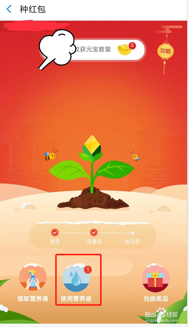 支付宝如何种红包？