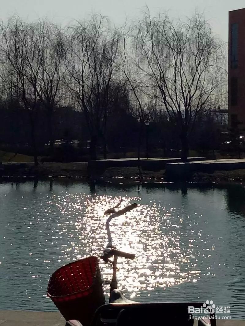 自信抑或迷茫，都请读读文章，再问问心房。