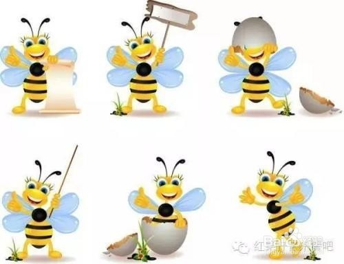 不要让生活中的点滴小事束缚了你