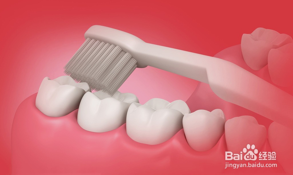 如何清洁牙齿
