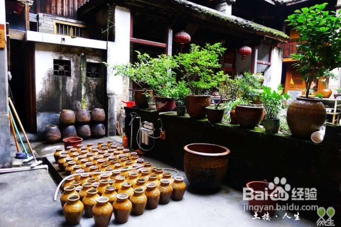 66@365【洪坑】土楼精华一日游