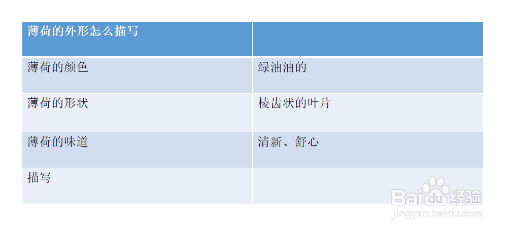 薄荷的外形怎么描写