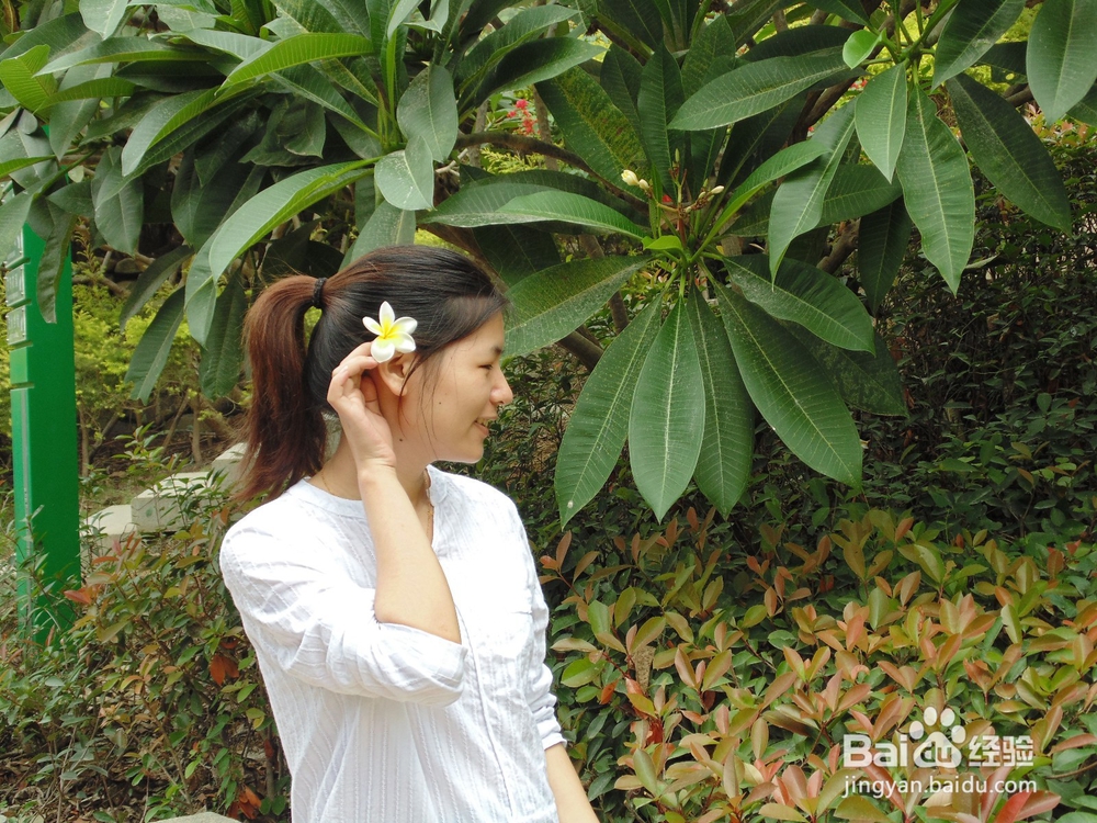 如何到公园免费玩呢