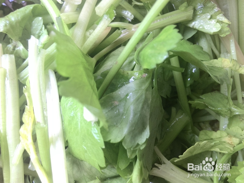 腐竹炒猪肉饼条