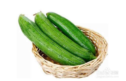 秋天宝宝吃什么蔬菜好