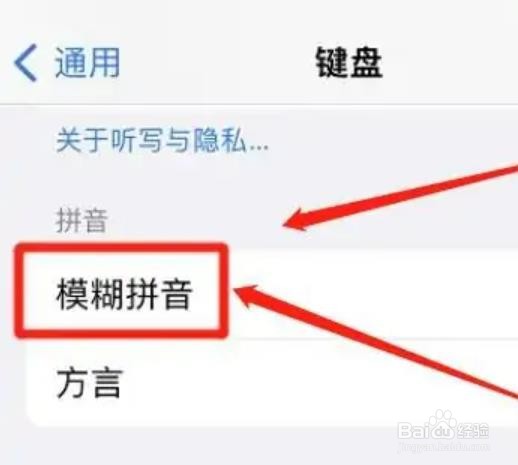 苹果键盘在哪启用模糊拼音功能?