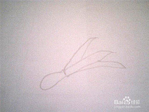 简笔画大葱该怎样画