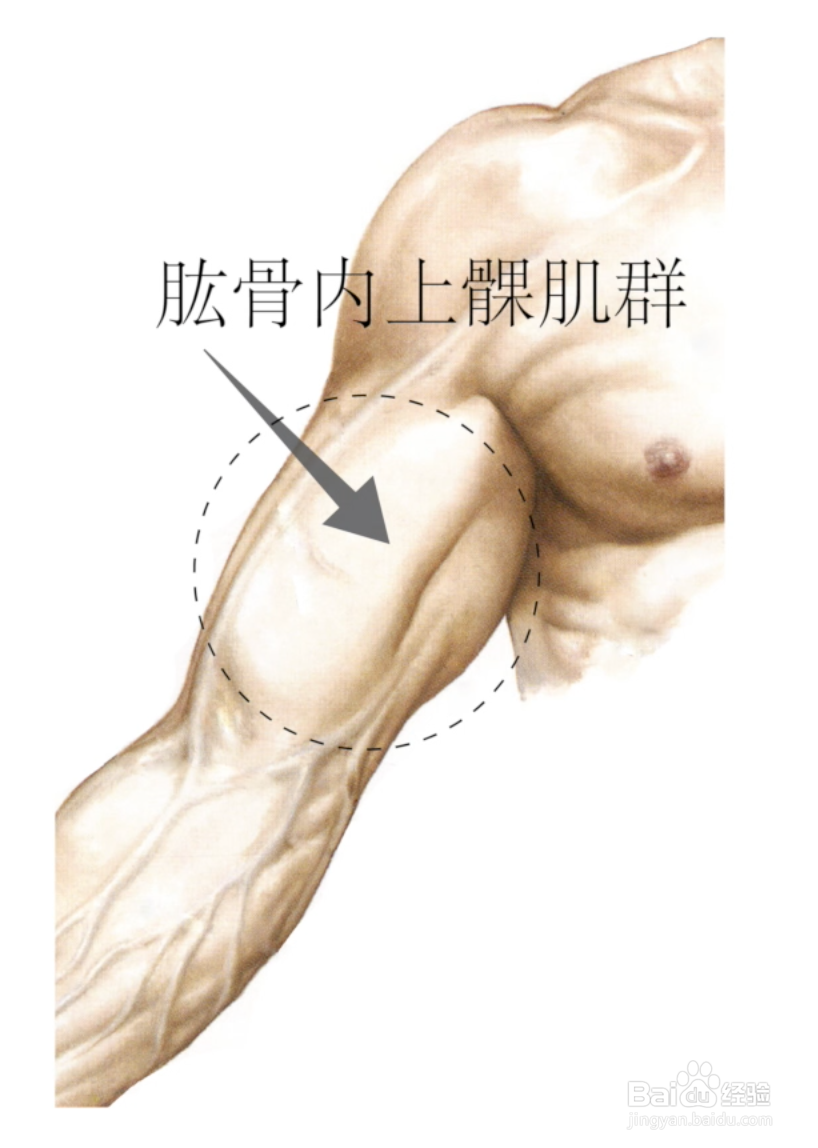 尼亚加拉手臂按摩教程