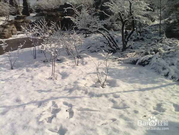 北京旅游攻略：[9]旺兴湖公园