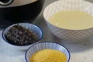 养胃的海参小米粥怎么做?