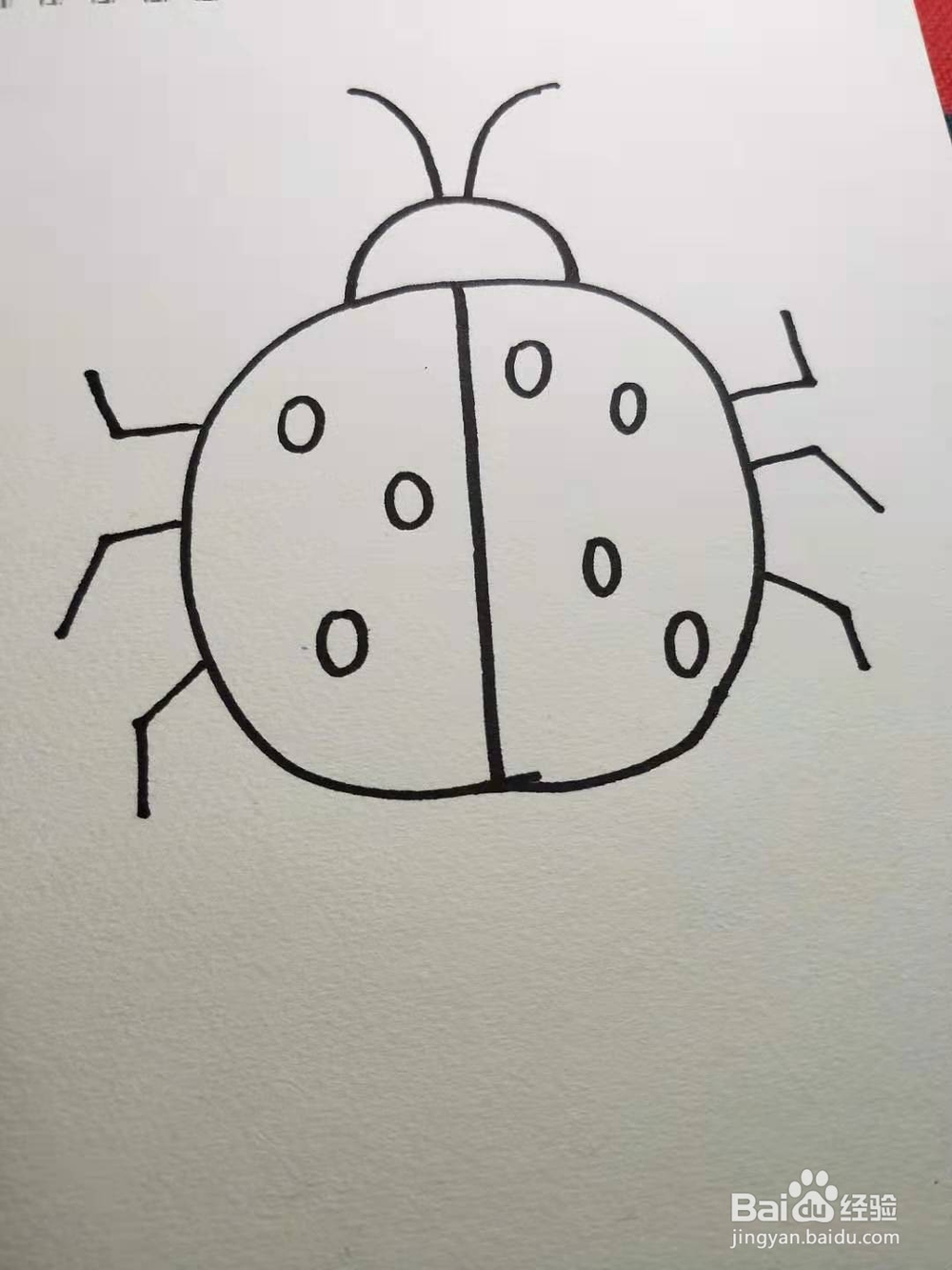 如何画七星瓢虫简笔画