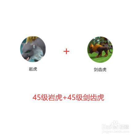 創造與魔法中老虎的融合條件是什麼