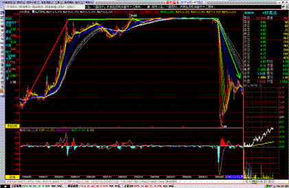 怎样才能在牛市中找出黑马股
