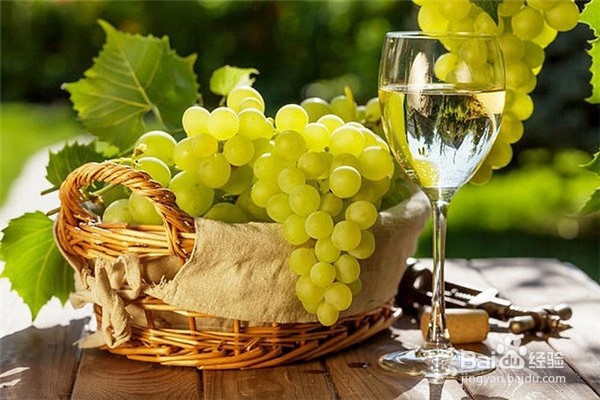 葡萄种植的方法？
