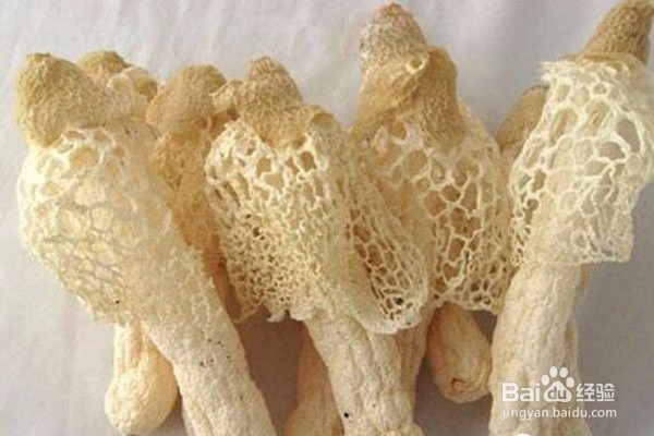 仙境蜀南竹海攻略