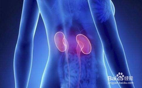 你的肾脏真的好吗？
