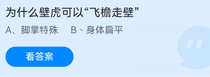 蚂蚁庄园:为什么壁虎可以飞檐走壁