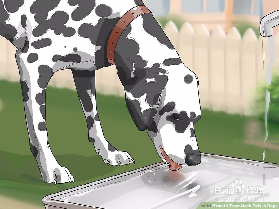 狗摔后脖子歪怎么办
