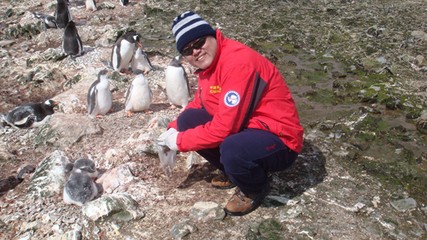 南极旅游攻略与线路分享