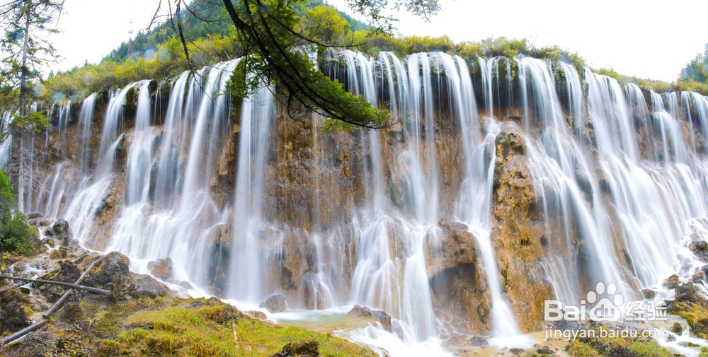旅游小指南 春天到啦