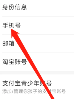 支付宝怎么查看手机号