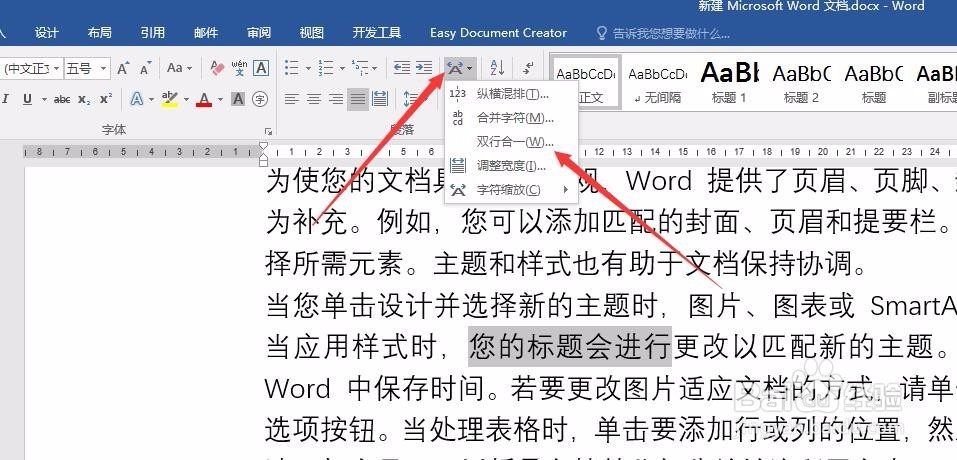 Word文字变双行