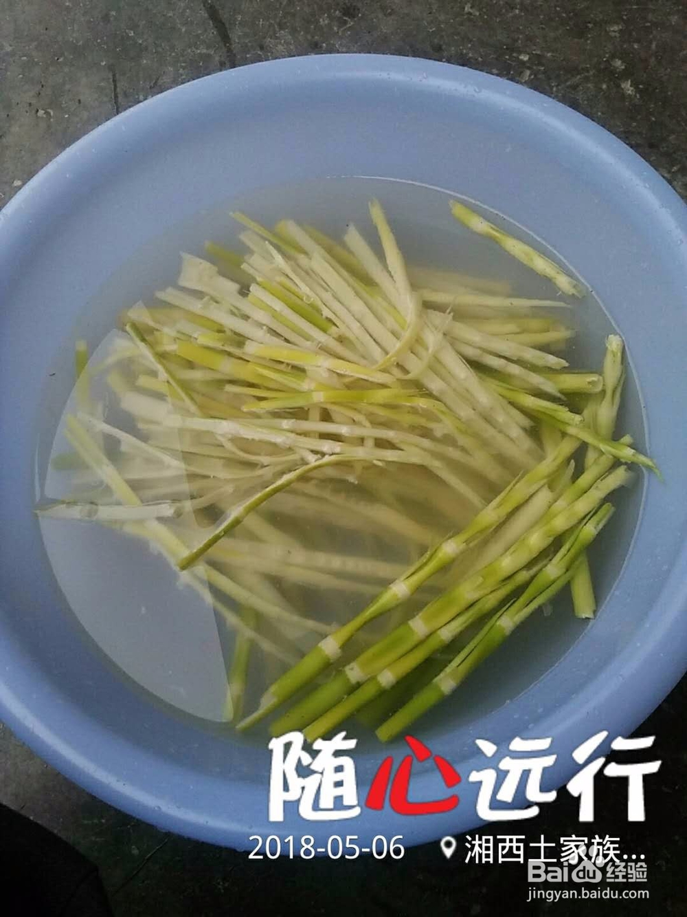 鸣凤山野美食集锦