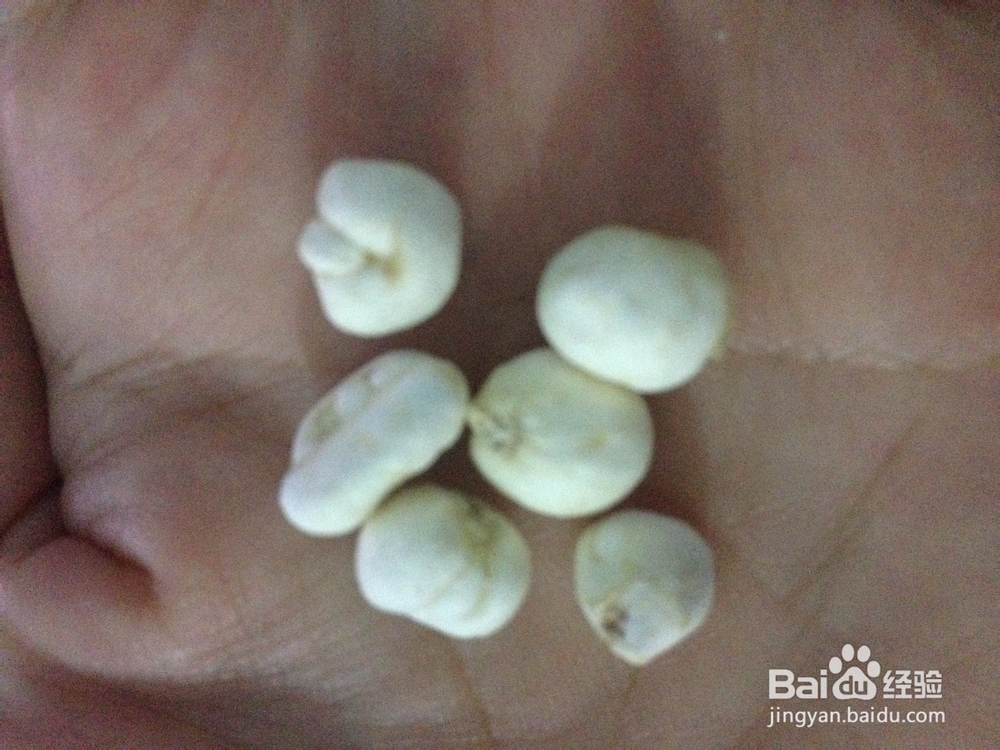 宝贝咳嗽老不好