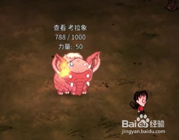 饥荒：火药信号弹鞭炮等说明。