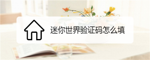 迷你世界验证码怎么填