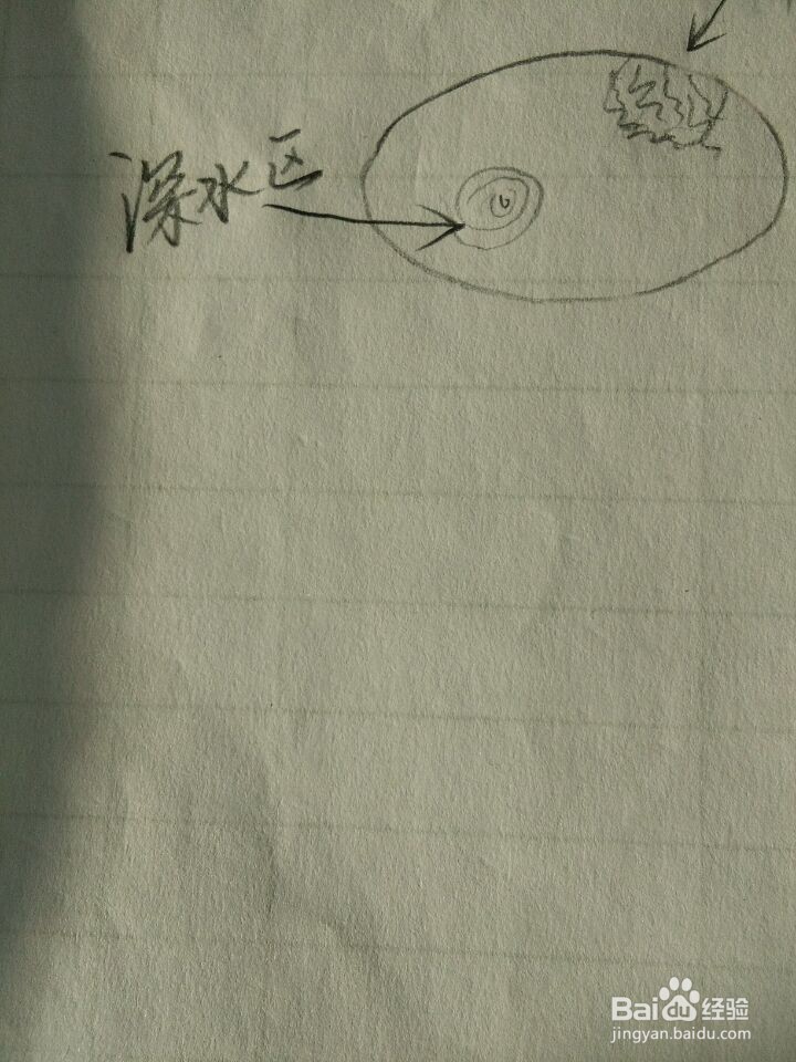 冬季如何才能钓到鱼