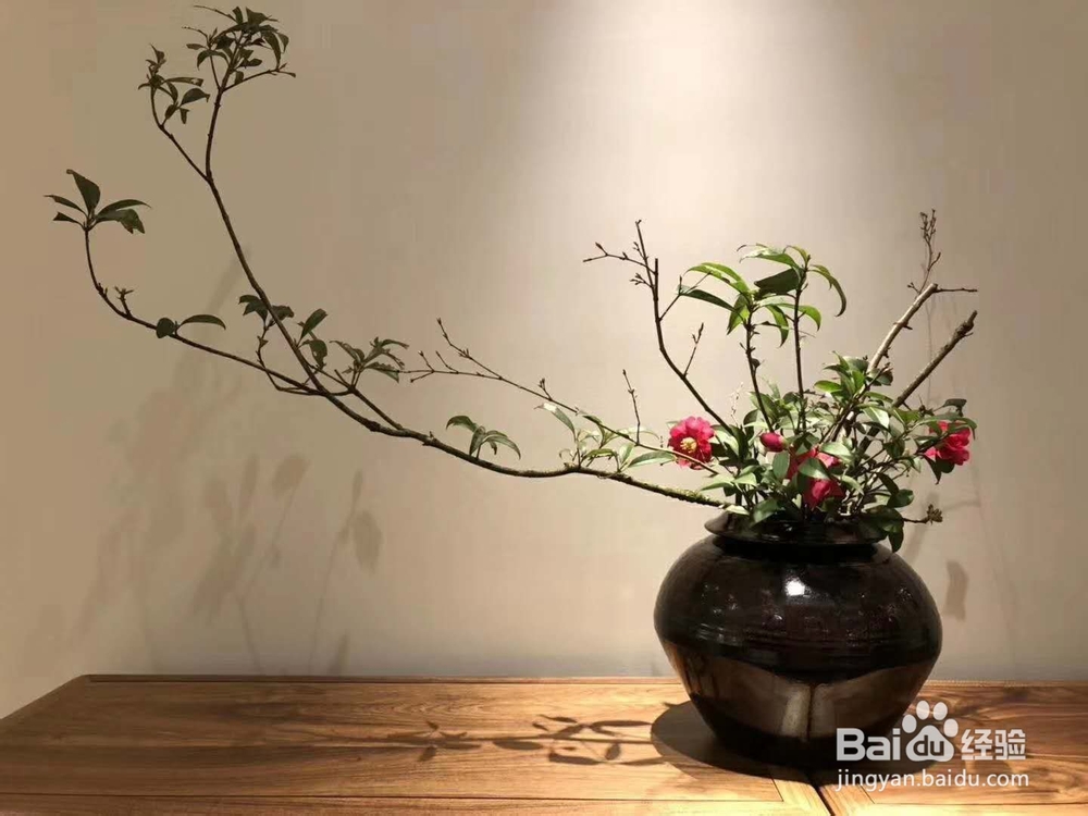 十条茶叶基本常识