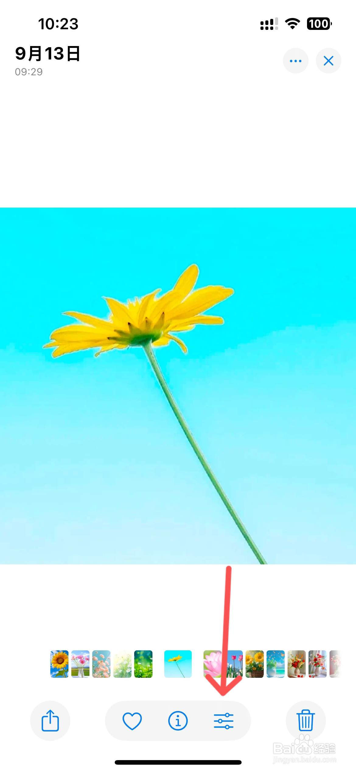 苹果怎么在图片上写字