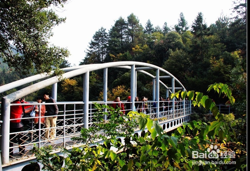 南昌到张家界自驾游