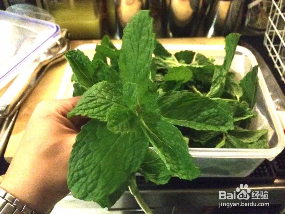 怎样制作的莫吉托最好喝?这样。