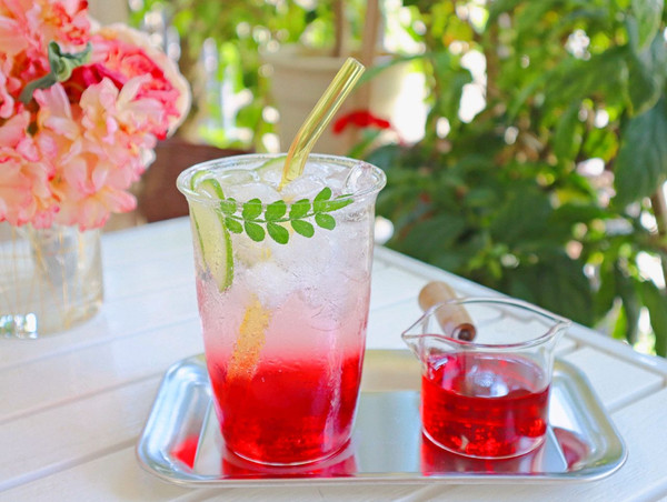 冰爽解腻蔓越莓气泡水