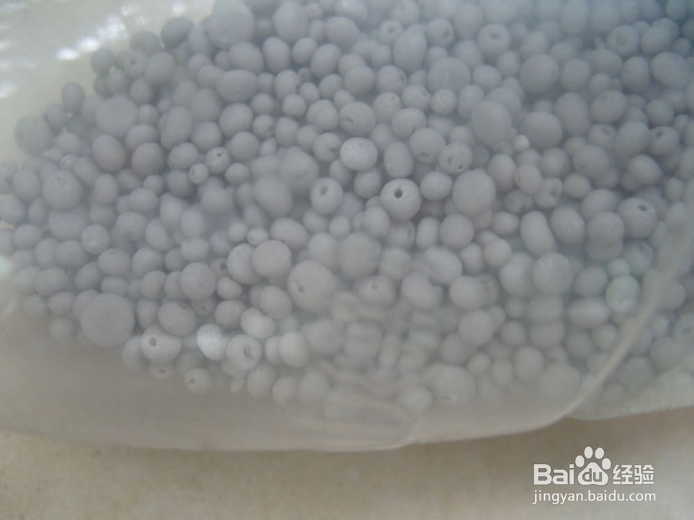 如何养绿萝才会长势旺盛