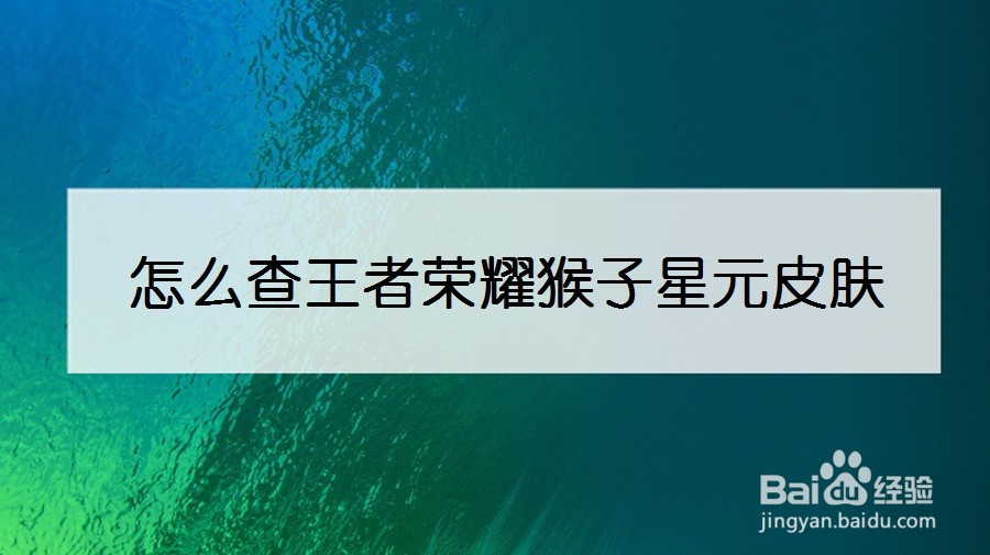 怎么查王者荣耀猴子星元皮肤